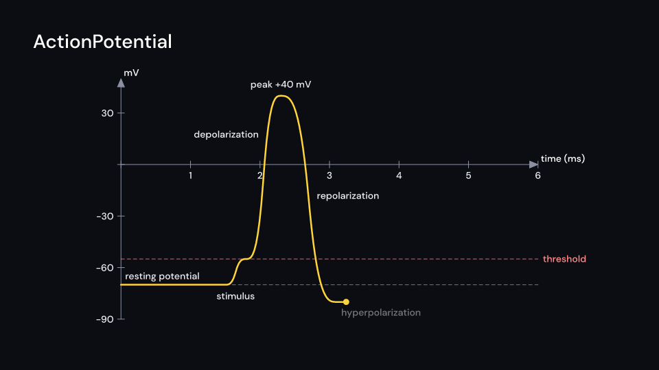 ActionPotential demo, first frame
