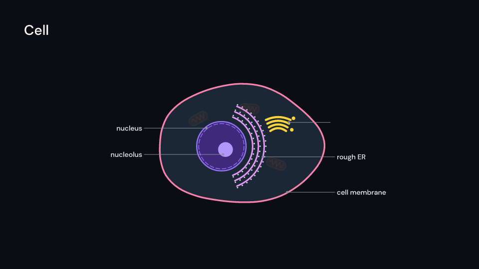 Cell demo, first frame
