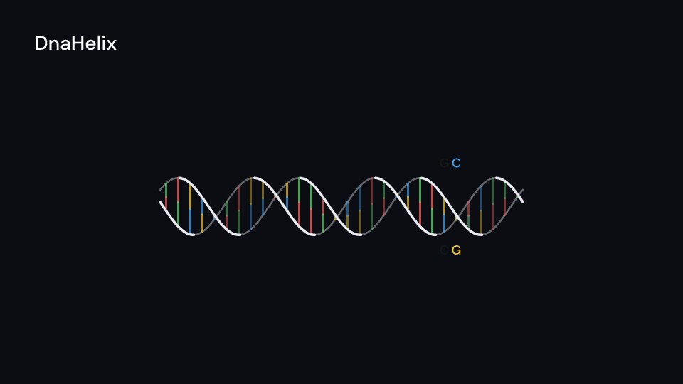 DnaHelix, the Biology showpiece